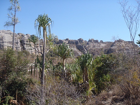 Hiking up the Namazza Trail
