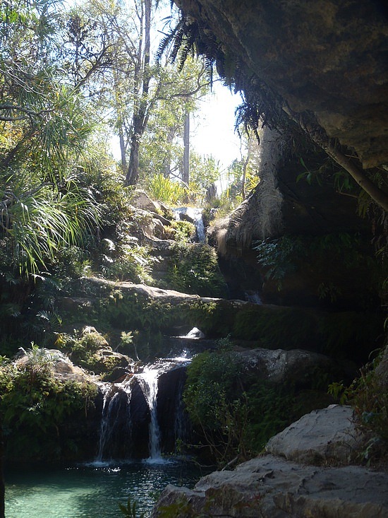 Piscane #2