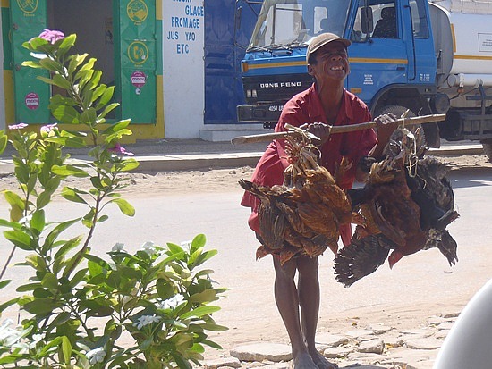 The Chicken and Duck Man