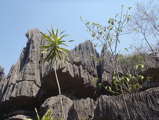 more rocks