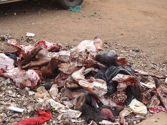  Food scrap heap