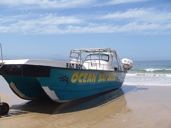 The whale watching boat!