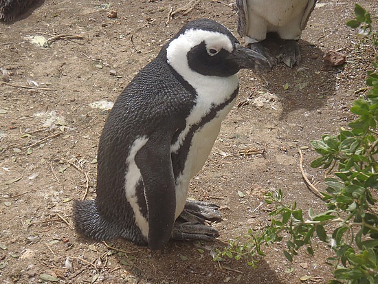 You lookin' at Me?