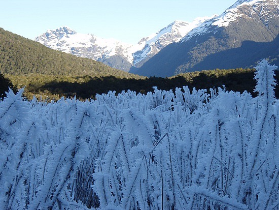 Getting kind of frosty!