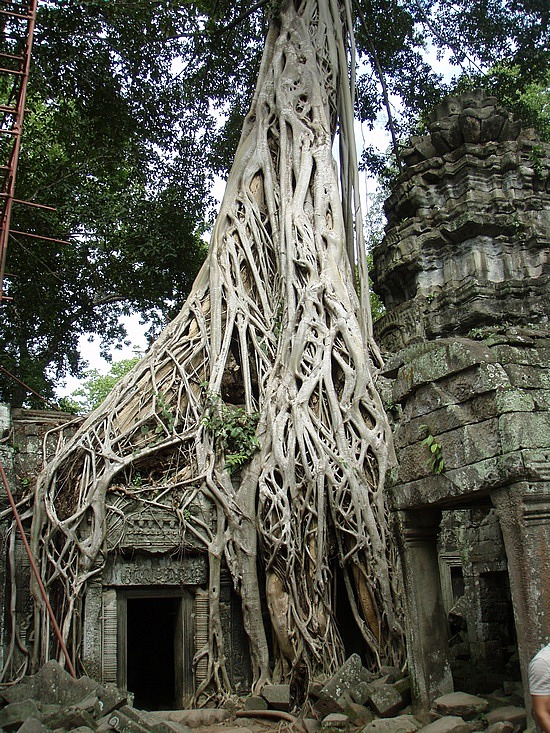 Indiana Jones eat your heart out!