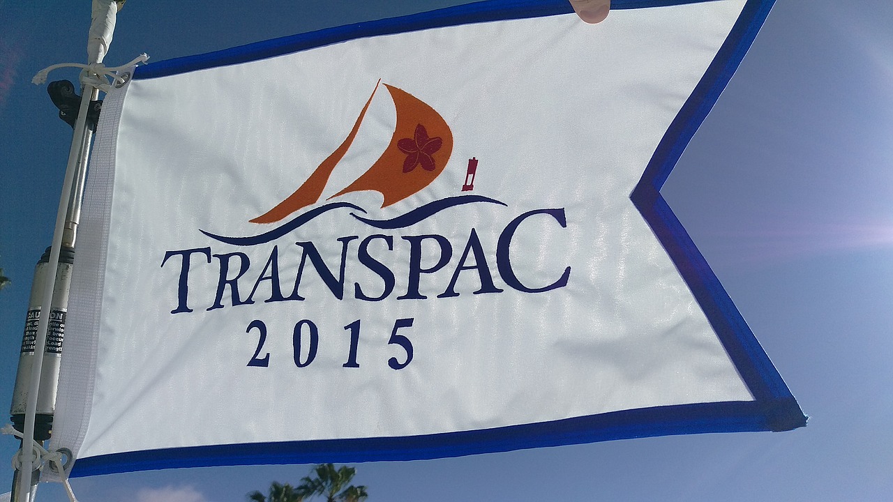 The race flag