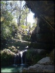 Piscane #2