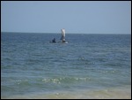 Fishing the high seas