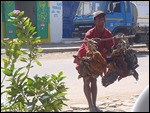 The Chicken and Duck Man