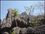more rocks