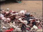  Food scrap heap