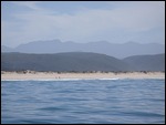 The beaches of Plettenburg