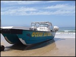 The whale watching boat!