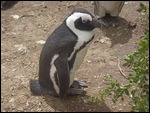 You lookin' at Me?
