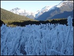 Getting kind of frosty!