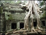 Temple Baphon, the "Jungle Temple"