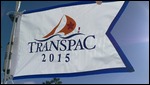 The race flag